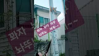 #진해성  고맙구로~~  #윤탱이네  꽈자