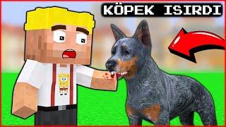 EFEKAN WAS BITTEN BY A DOG!  - Minecraft