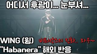 WING (윙) - "Habanera" 해외 반응. "어떻게 이런 소리를 내는 거야?! 울랄라 울랄라!!" #윙 #리액션해외반응