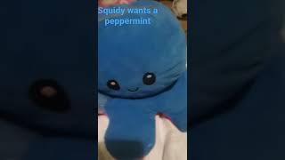 squidy wants a peppermint