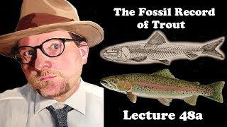 Lecture 48a The Fossil Record of Trout