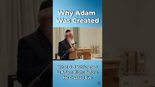 Why Adam Was Created