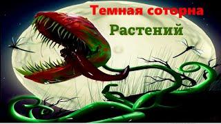 Темная сторона растений| хищные растения (Скрытый мир)