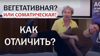 Вегетавная или соматическая — как понять разницу?