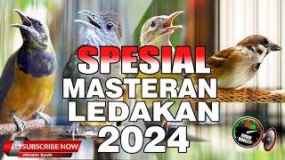 MASTERAN SPESIAL LEDAKAN 2024 KOMPILASI MEWAH UNTUK SEMUA JENIS BURUNG MURAI BATU DAN CUCAK IJO !!