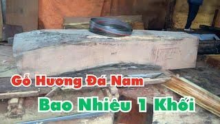 Giá Gỗ Hương Đá Nam Phi 2025  Gỗ Hương Đá Nam Phi Bao Nhiêu Tiền 1 Khối