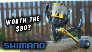 Is The Shimano Sahara Worth The Money? ~Full Review~