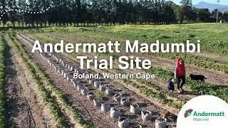 Andermatt Madumbi Trial Site