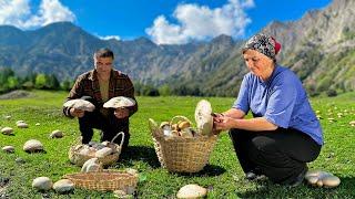 Collecting Wild Mushrooms in Azerbaijan’s Mountains | Traditional Mushroom and Potato Recipe!