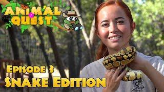 Animal Quest Remastered Ep. 3: Snake Edition