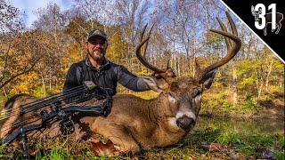 INDIANA PUBLIC LAND CHALLENGE! - Day 4: Big 8 Pointer Goes Down! | Bowhunting Rutting Bucks