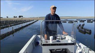 An Oyster Farm Tour at Hog Island