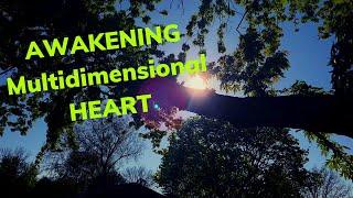 Starseed Artist Shaman Awakening Our Multidimensional Heart Shadow WorkJoy Contains The Grieving