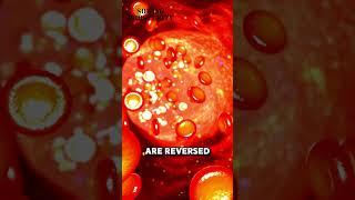 Ketogenic Diet and Human Health | Is Keto Our Natural State? Insights with Dr. David G. Harper