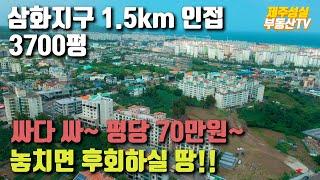 삼화지구 1.5km 인접 3700평 싸다 싸~ 평당70만원! 놓치면 후회하실 땅(제주도 부동산)