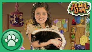 Wild Explorers - Meet a Skunk