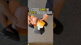 브러쉬 유목민들이 정착한 반려동물 브러쉬