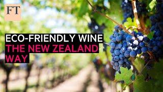 Eco-friendly vineyards, the New Zealand way | FT Food Revolution