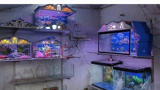 AL NOOR AQUARIUM falaknuma hyd #aquarium offer #8919447418