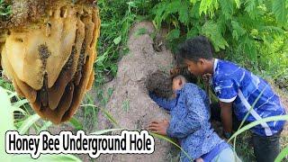 Amazing Village Boys Hunting Big Wild Honey Bee In Hole And Eating Delicious