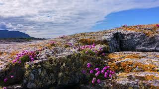 ATLANTIC OCEAN ROAD 