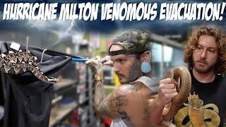 HURRICANE MILTON VENOMOUS SNAKE EVACUATION !