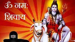 জয় বাবা কেদারনাথের জয় || Om namo Shivaya || পূণ্যভূমি কেদারনাথ || World Of Bidhan||