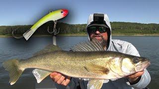 Shiver Minnow Walleye! | Summer Fishing