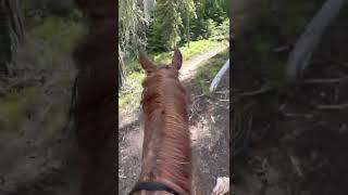 Come join RwC and Crysta Awtry as we take a back country ride up Windy Trail in Oregon- July 2022