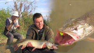 Pecanje štuke na Tamišu | Varaličarenje | Fishing pike