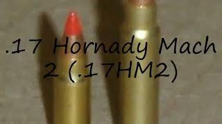 How to pronounce .17 Hornady Mach 2 (.17HM2)?