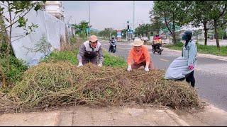 Grass and trash cover the entire sidewalk near large hotels and apartment buildings in Hue city