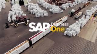 SAP Business One   Analytics and reports