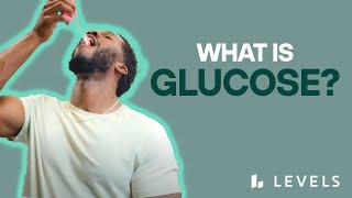 What Is GLUCOSE & What Does it Do to Your Body & Blood Sugar Levels? | Austin McGuffie & Levels