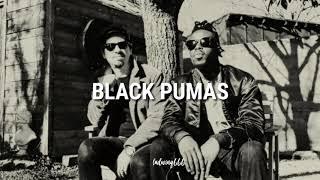 Black Pumas - Touch The Sky // lyrics español