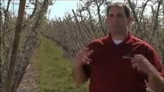 Agricultural and Food Systems