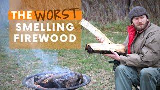 The WORST Smelling Firewood