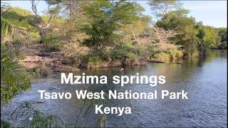 Mzima springs, Tsavo West National Park, Kenya.