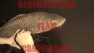 DENIMASCINGA TEAM CARPFISHING ( BIG IN FOCE )