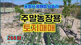 포항 주말농장용 토지 매매, 장성동 양덕동 영일만산단 인접