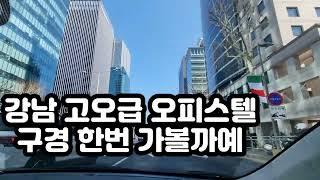 개가부러웠던하루ㅋㅋㅋㅋㅋ고급강남신축오피스텔 임장 에피소드강남,서초