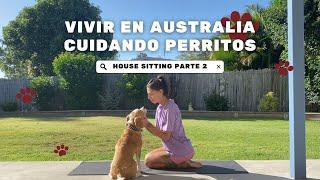 Vivir en Australia cuidando perritos  | House Sitting & Pet Sitting 2023 (parte 2)