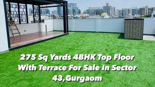 4 BHK BUILDER FLOOR FOR SALE IN SECTOR 43, GURGAON | 275 Yard | #builderfloor #realestate