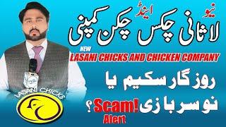 lasani chicks and chicken company || Ideas Point