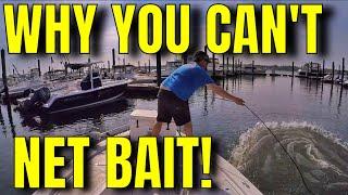 The TRICK to Cast Netting Baitfish ! Shad Bunker Pogies Menhaden! Live Bait! Herring Mullet Alewives