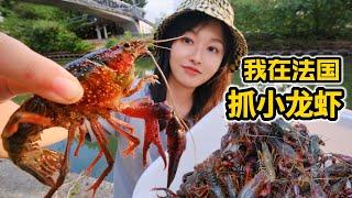 Catch crayfish in France, easily catch 100, make spicy crayfish spicy and delicious