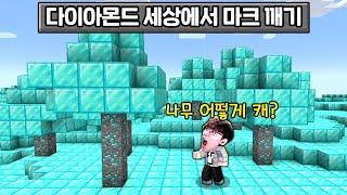 모든게 다이아몬드가 된 세상에서 마크 깨기