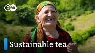 Tea: New ideas for the world‘s second most popular drink | DW Documentary