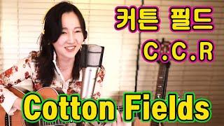 Cotton Fields (C.C.R) - 드디어나왔다! 기다리던 그 영상 강지민 Kang jimin