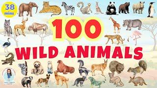 100 ANIMALS | Wild Animals Names | First 100 Words for Babies | Toddler  Learning Videos for Kids